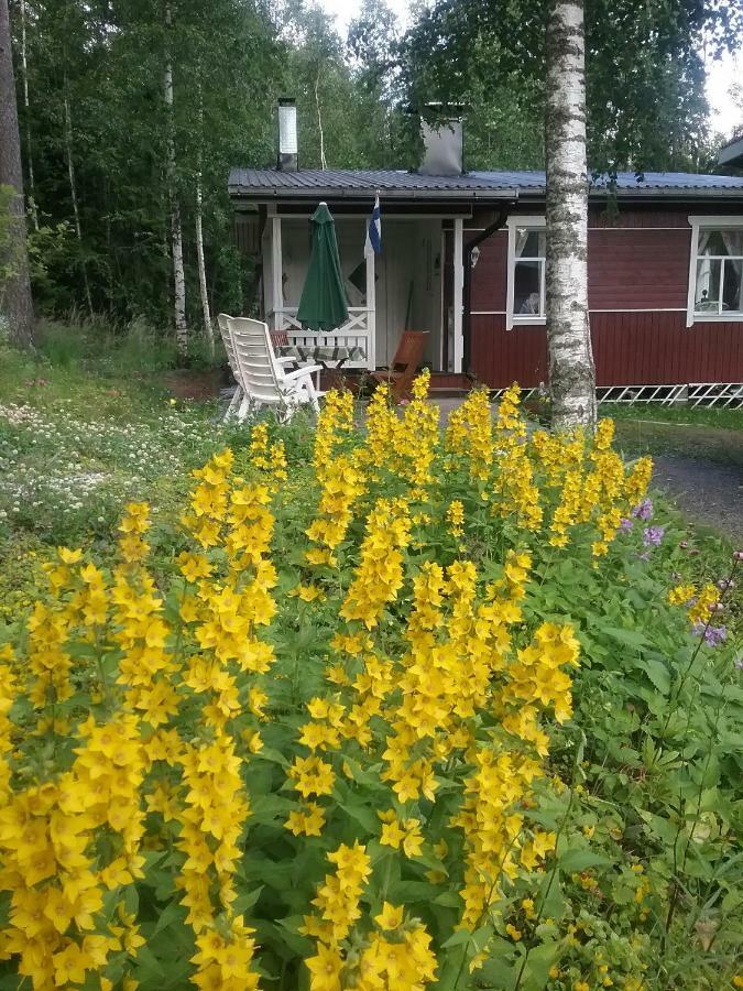 Ilmastoitu Kesaemoekki Askolassa Laehellae Porvoota Eksteriør bilde